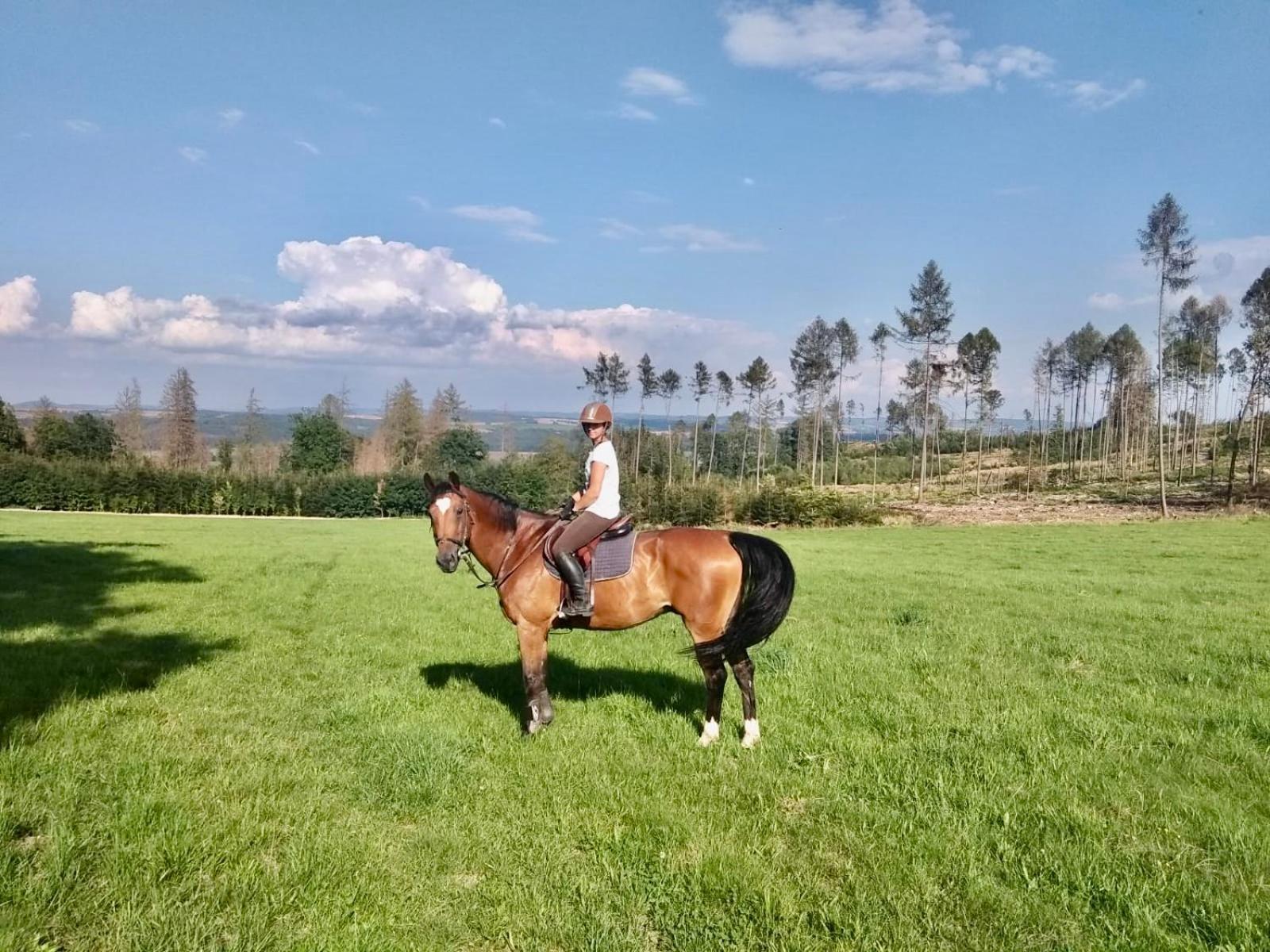 Country house U Nas Ve Lhote - /